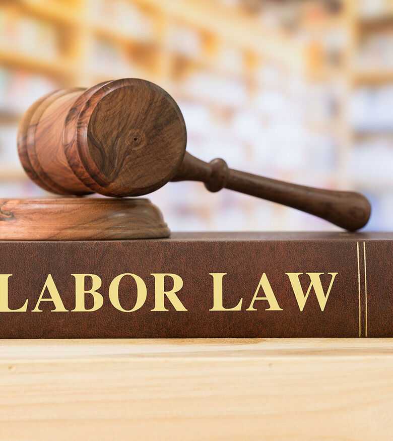 Labor & Employment Lawyers in Sarasota, FL - Gavel and Labor Laws Book