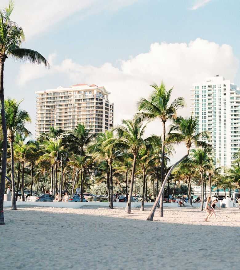 Vista urbana de Miami con palmeras, ideal para un abogado de lesiones personales.