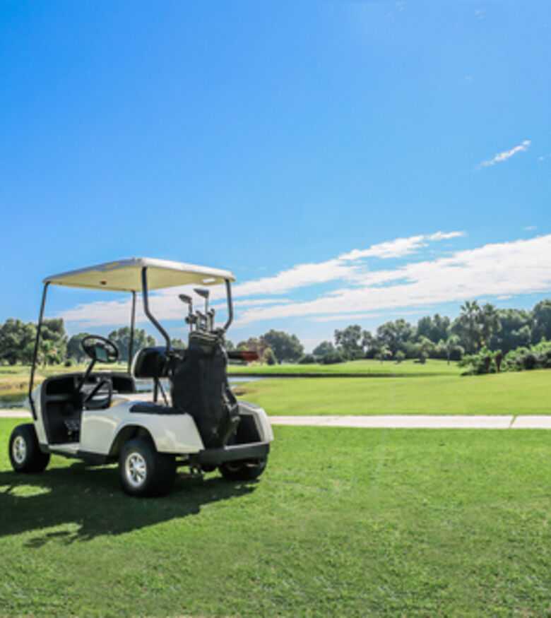Golf Cart Accident Attorneys in Palm Harbor, FL - golf cart in golf course