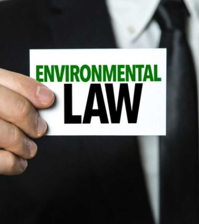 Environmental Lawyers in Palm Harbor, FL