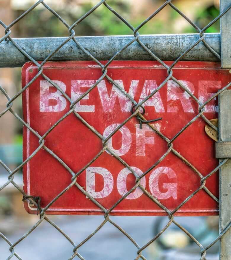 Dog Bite Attorney In Myrtle Beach - Dog Bite