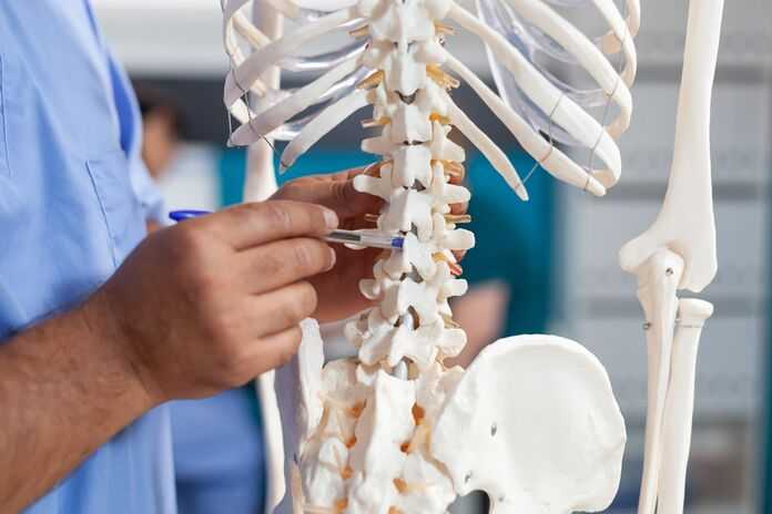 Neck, Spinal Cord, and Back Injury in Charleston - Spinal Cord