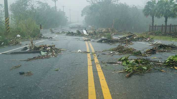Road blocked with debris and fallen branches after a hurricane