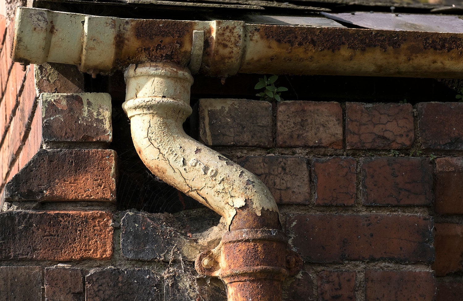 Signs Your Cast Iron Pipes Are Failing Morgan Morgan Law Firm
