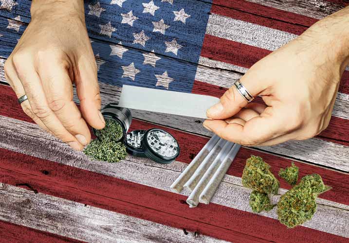 Person with Marijuana and rolling papers