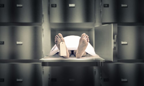 Morgan & Morgan Fights for Victims After Harvard Morgue Involved in Illegal Selling of Human Body Parts -