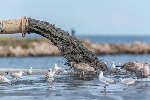 3M Agrees To Pay Up to $12.5 Billion Settlement Over Water Pollution Case