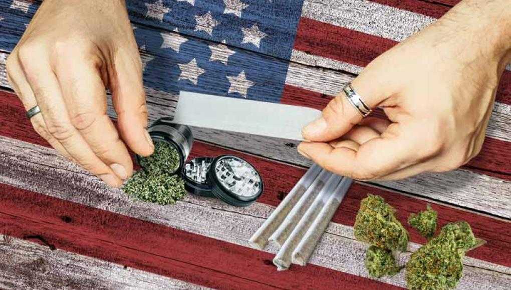 Person with Marijuana and rolling papers
