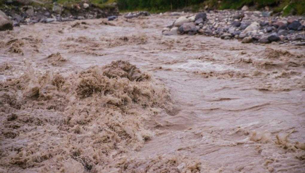 Floridians Demand State of Emergency Over Okeechobee - Muddy River Water