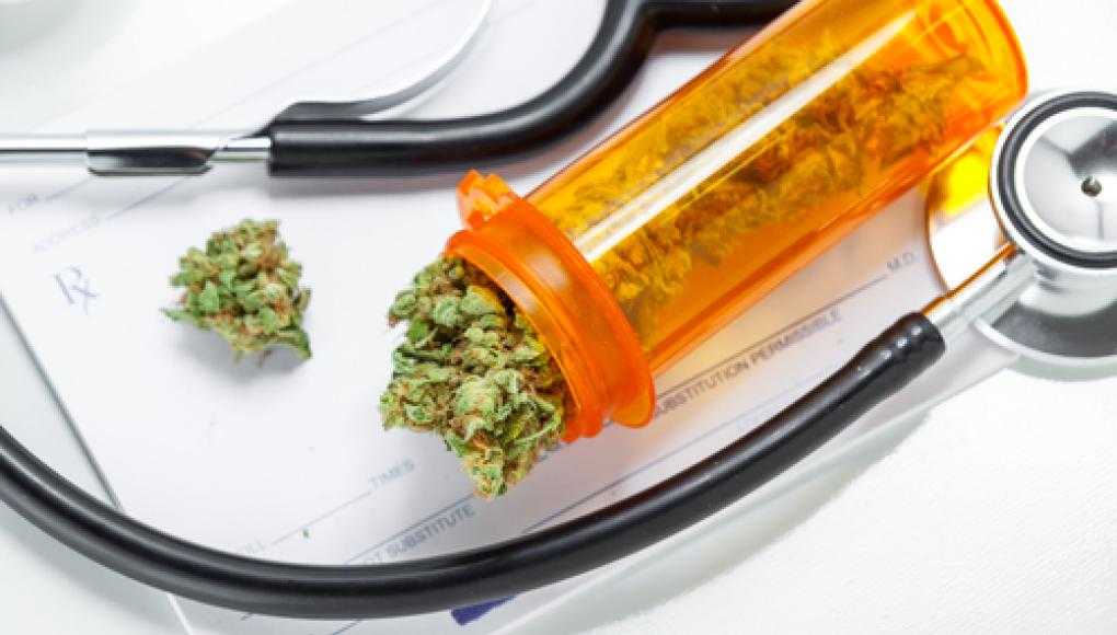 Florida Voters to Decide on Medical Marijuana in November - Medical Marijuana