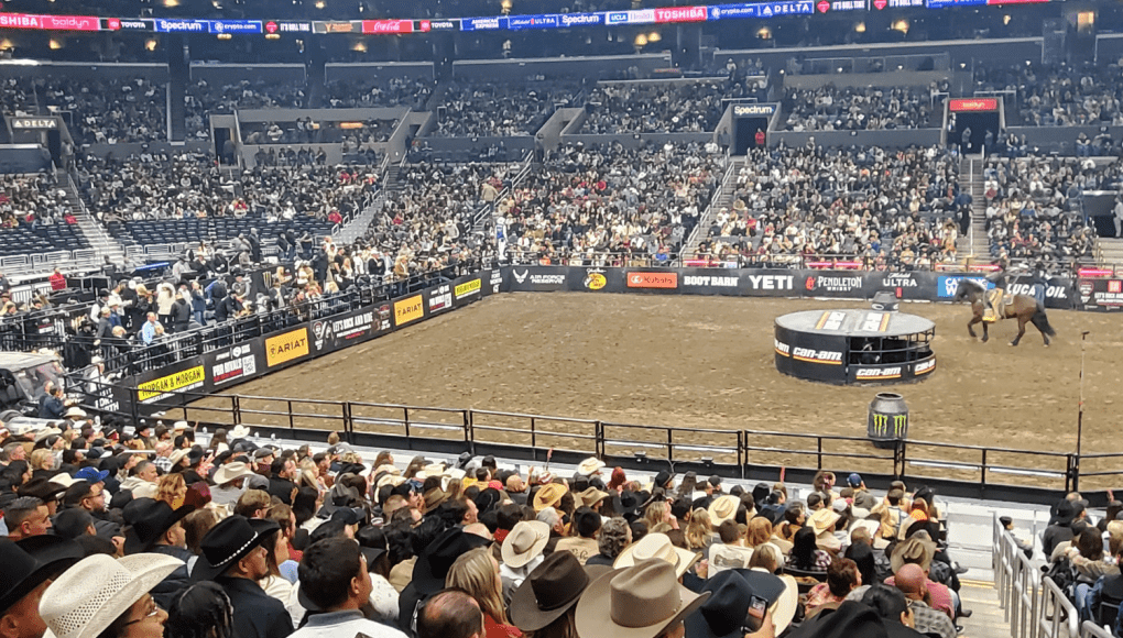 Saddle Up: Morgan & Morgan Helps Unleash the Beast