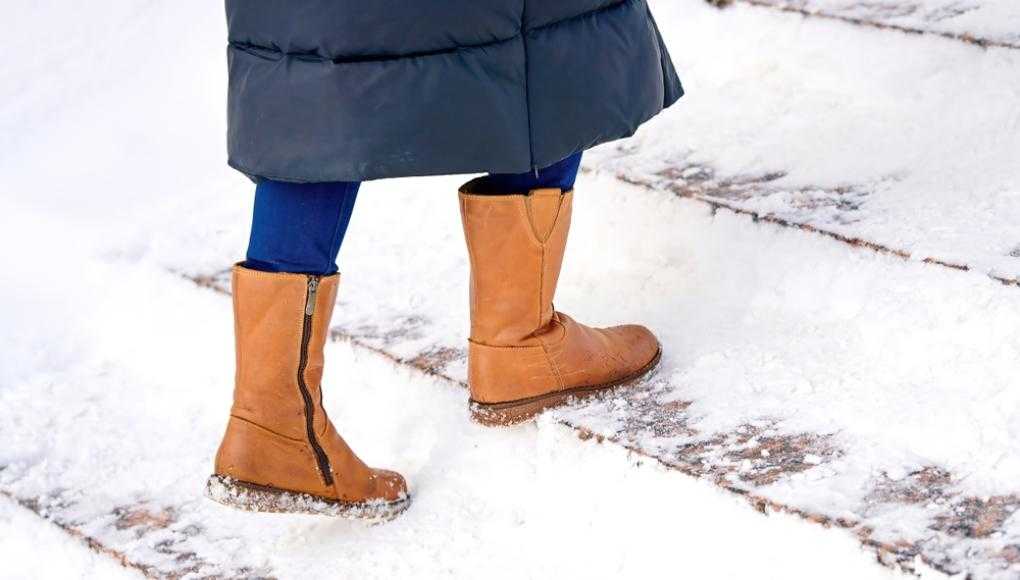 snow on the ground