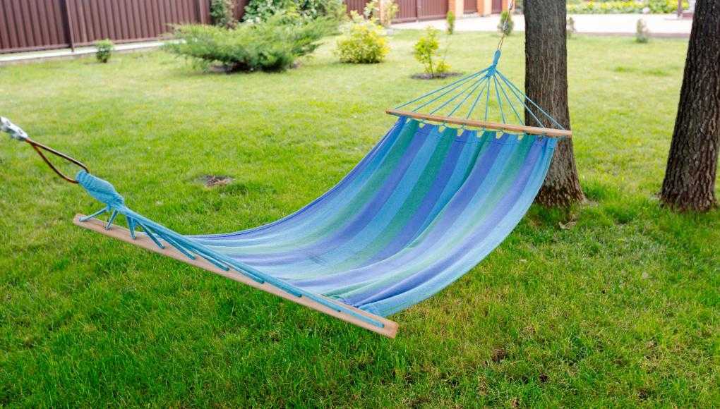 Hammock in a yard