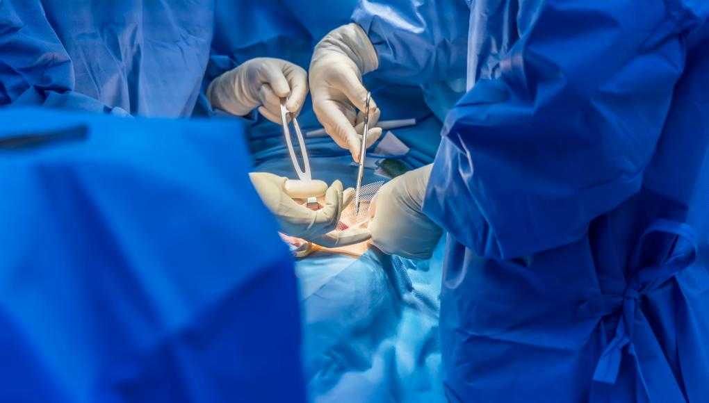 Surgeons using medical mesh