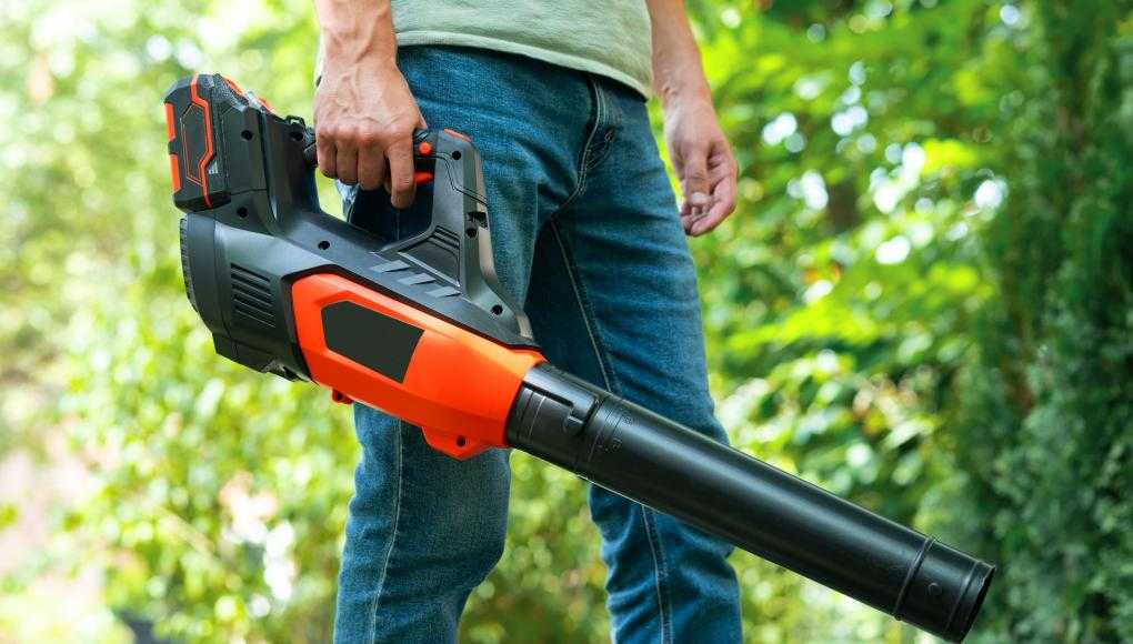 Man holding a leaf blower