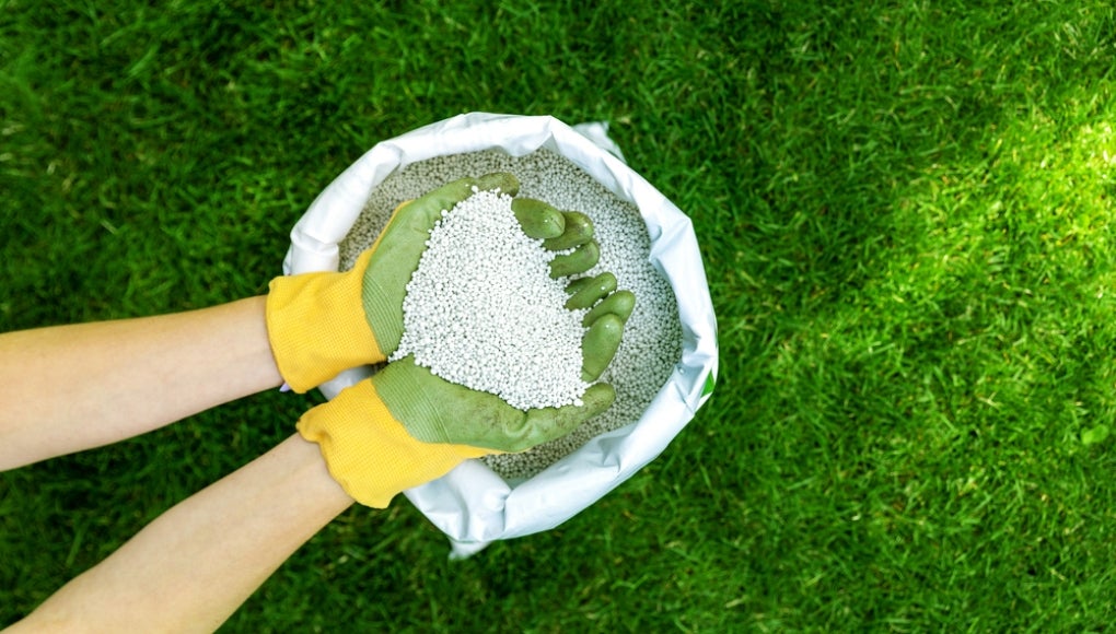 Fertilizer