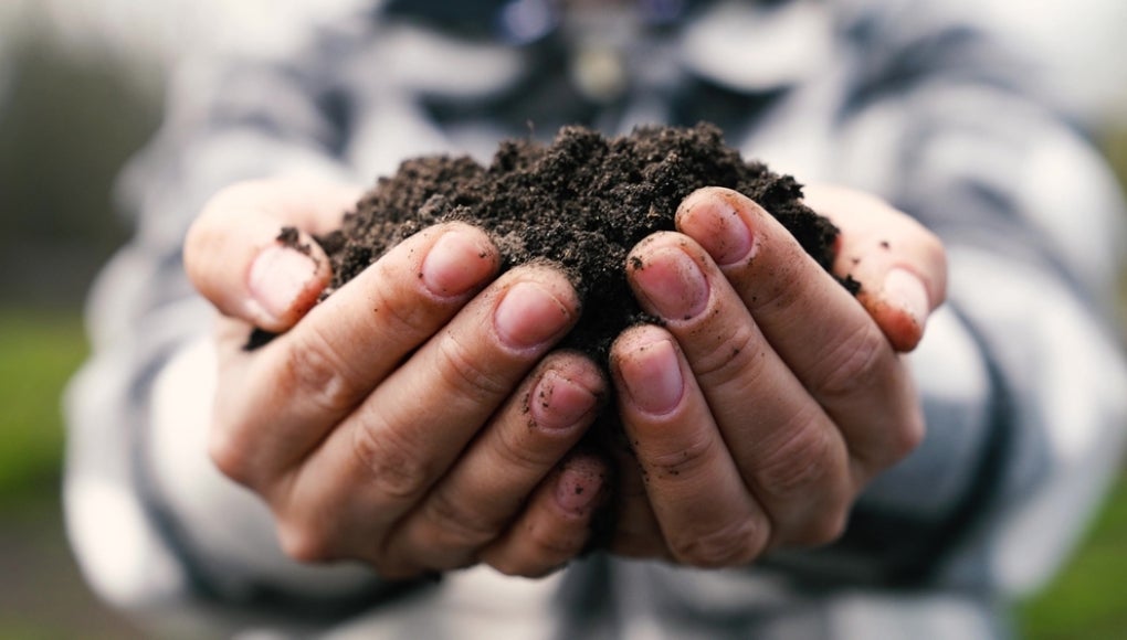 Man holding soil
