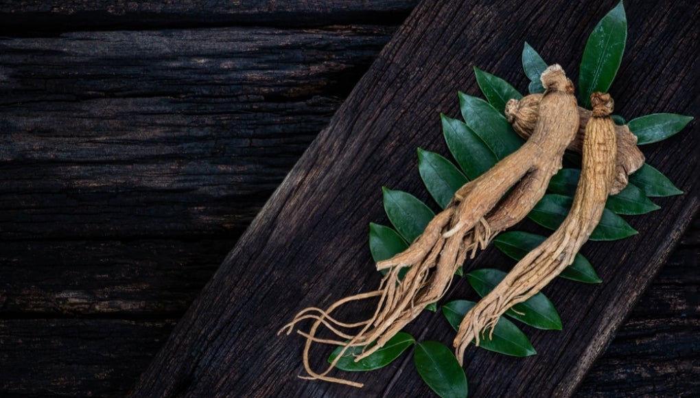 ginseng root