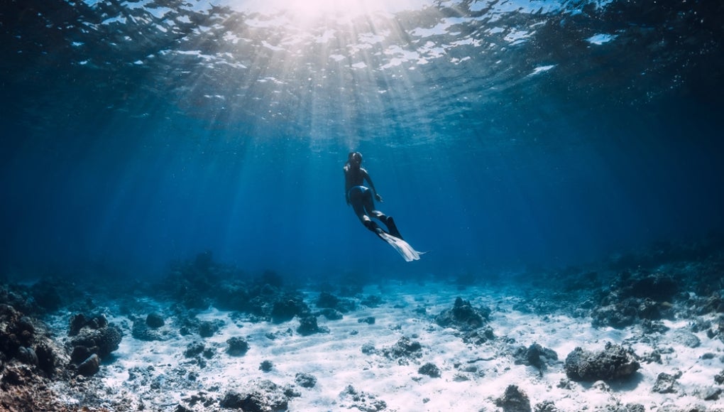 scuba diver in the water