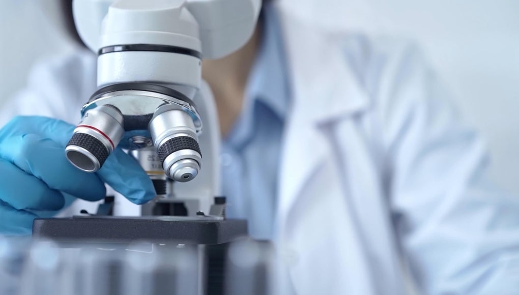looking at labs