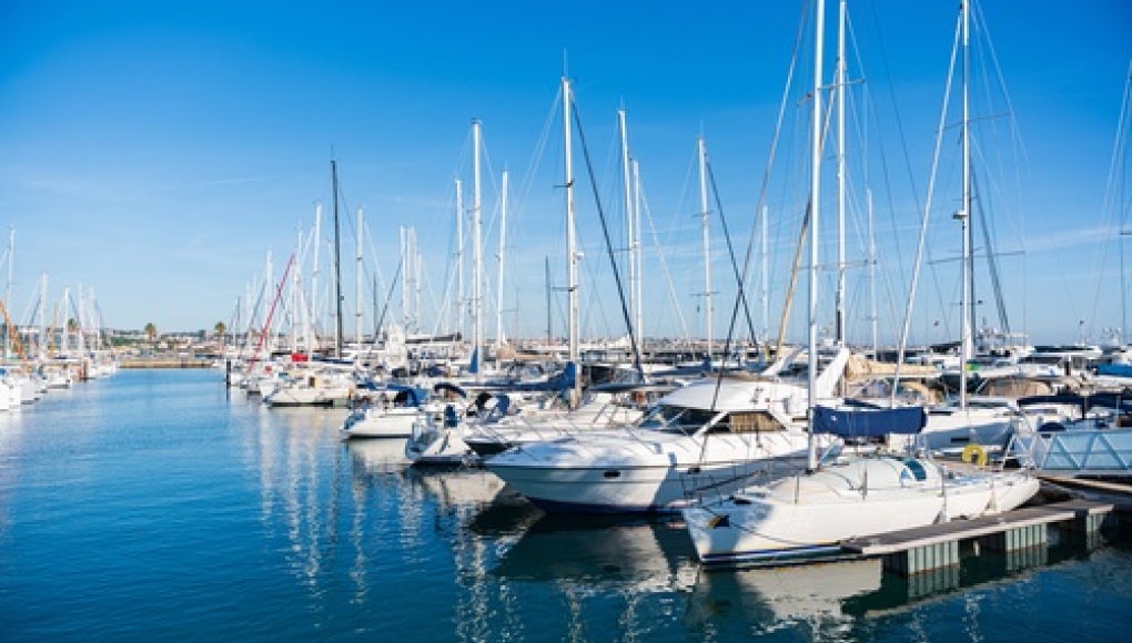 boats docked in a marina 