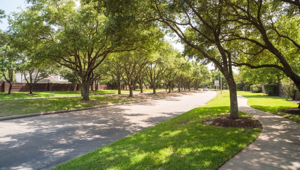 Trees in a neighborhood