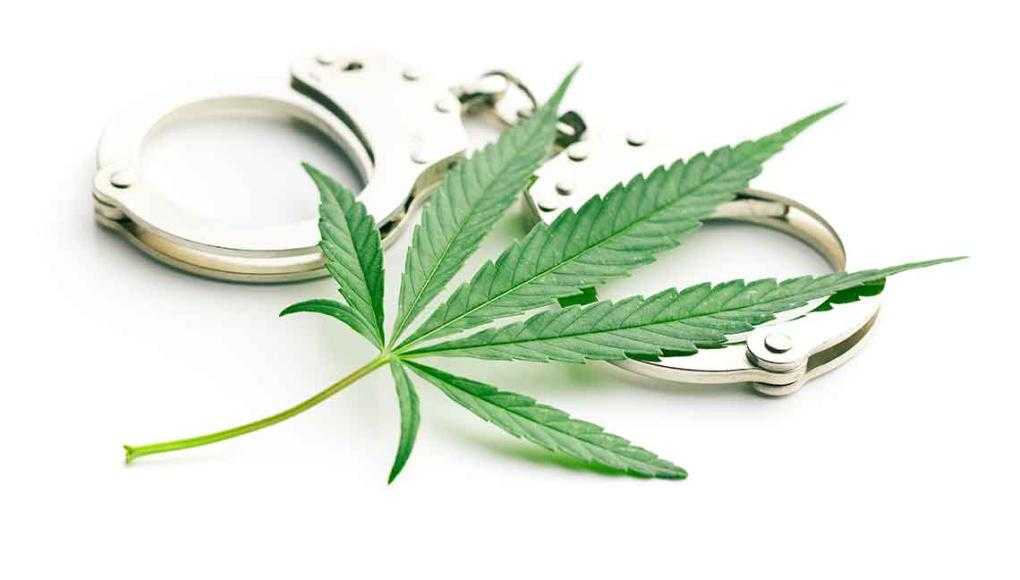 daytona beach marijuana decriminalization