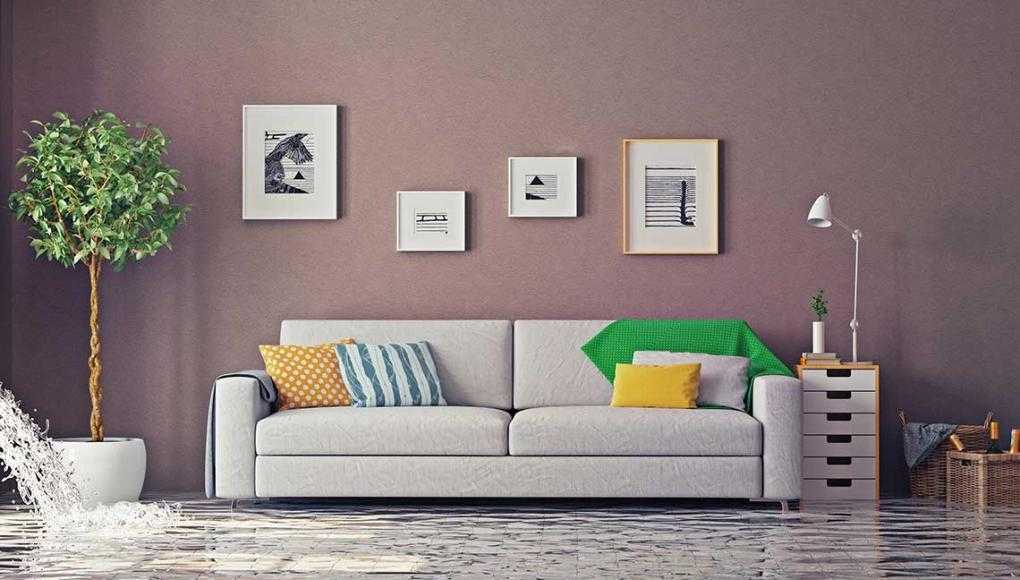 How to Protect Your St. Petersburg Home from Floods - Living Room