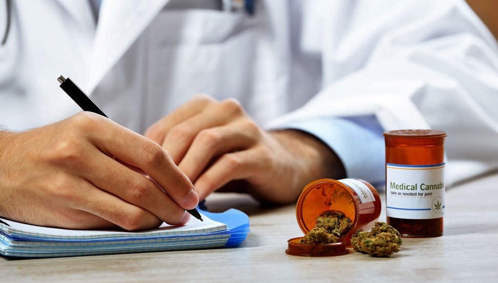 A Grandmother's Story: How Amendment 2 Could Change Lives - Doctor writing on his book.