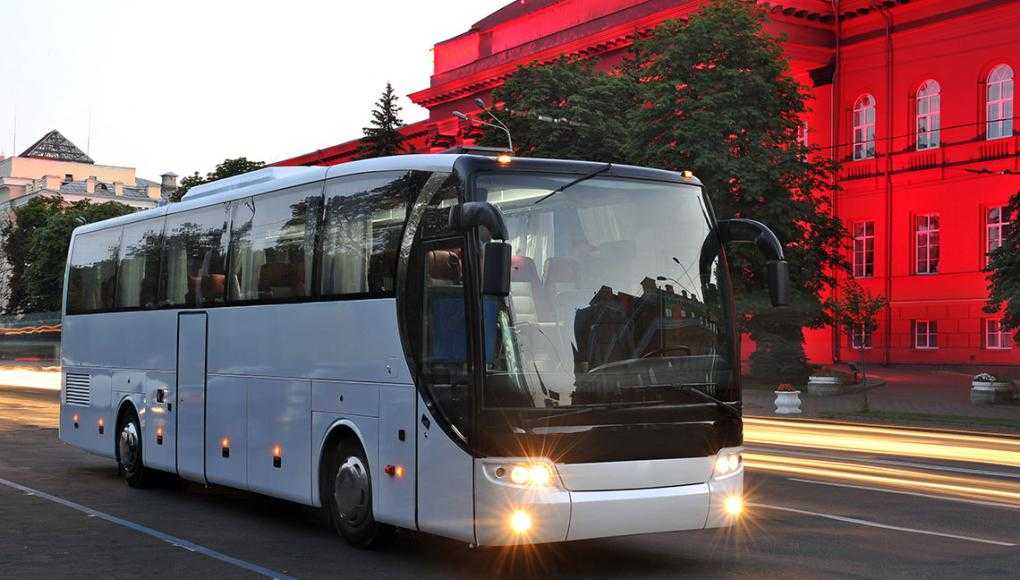 bus