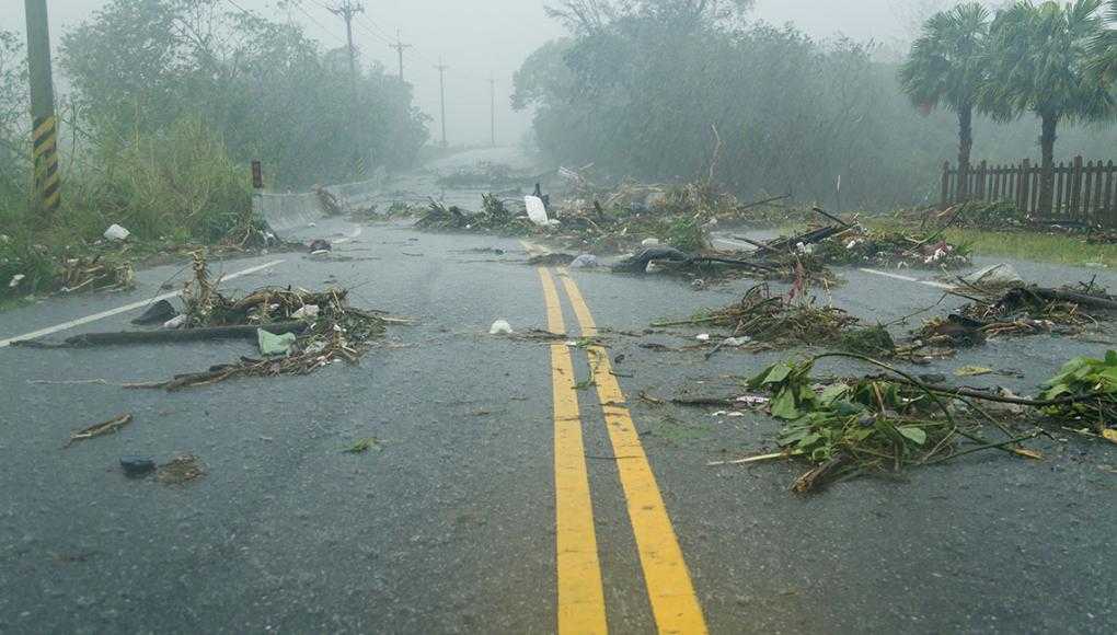 Road blocked with debris and fallen branches after a hurricane