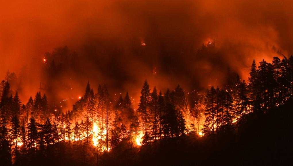 powerlines start wildfire