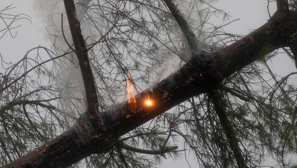 PG&E Power Lines Caused Four NorCal Wildfires, Investigators Determine
