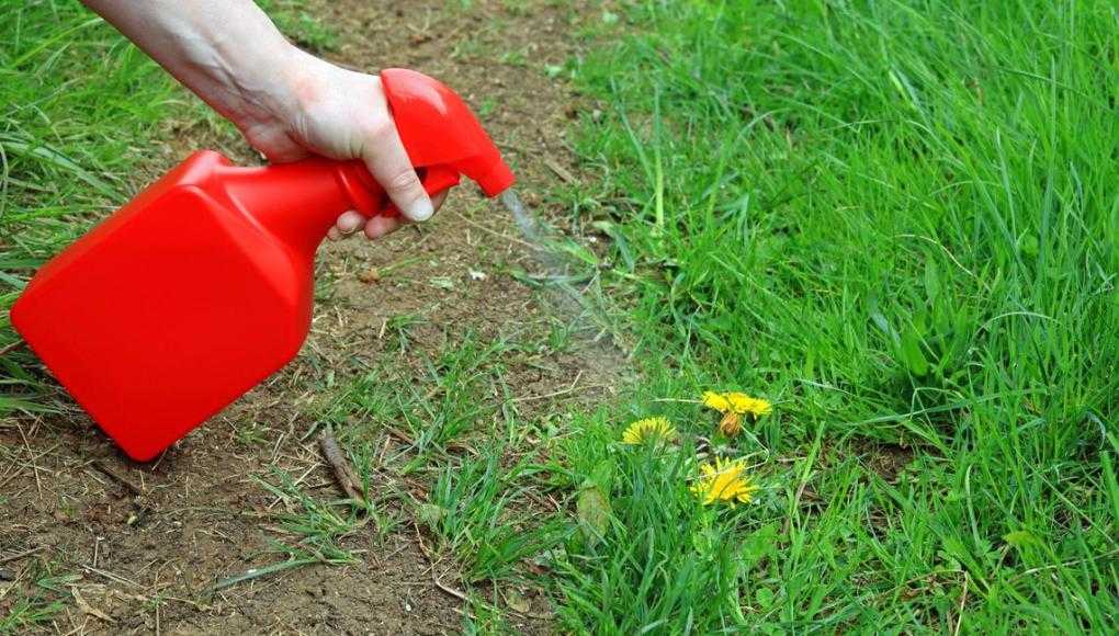 roundup-weedkiller-lawsuit-verdicts