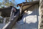 Your Step-by-Step Guide to Hurricane Insurance Claims - tree fell on a house during a hurricane