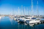 boats docked in a marina