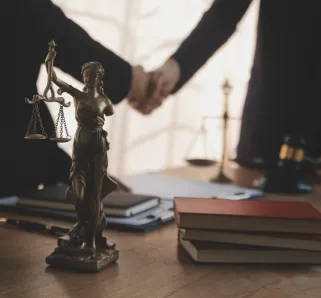 Professional Malpractice