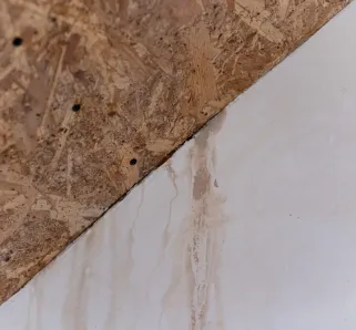 Water Intrusion