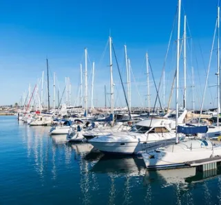 boats docked in a marina