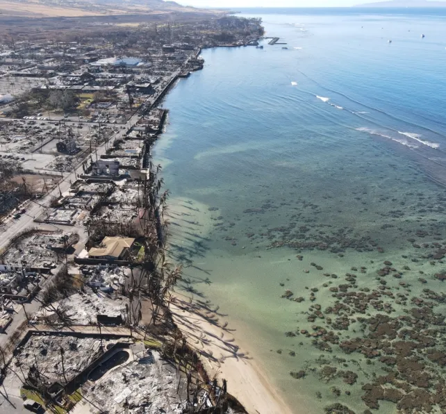 post wildfire in maui