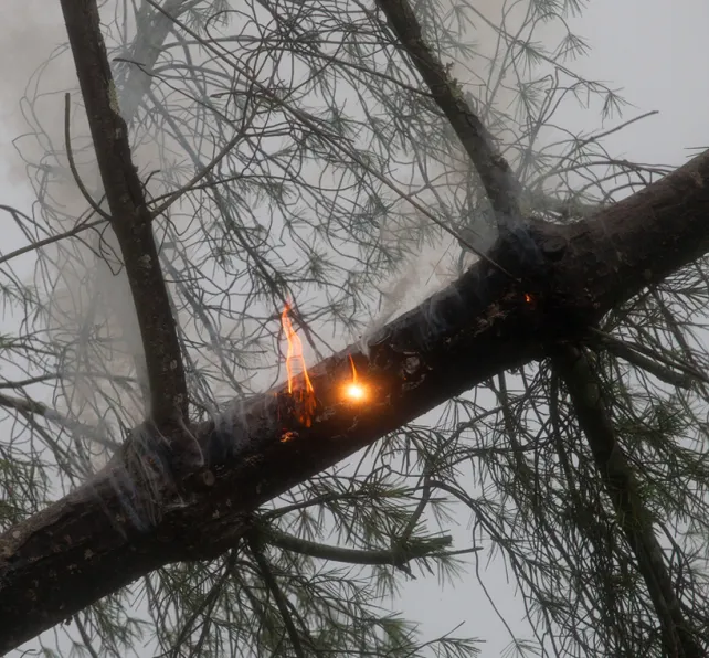 PG&E Power Lines Caused Four NorCal Wildfires, Investigators Determine