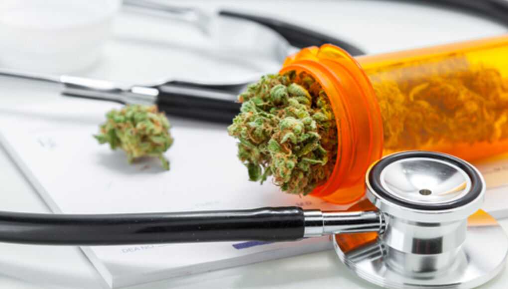 United for Care to Petition for Medical Marijuana Amendment in Florida - Medical Marijuana