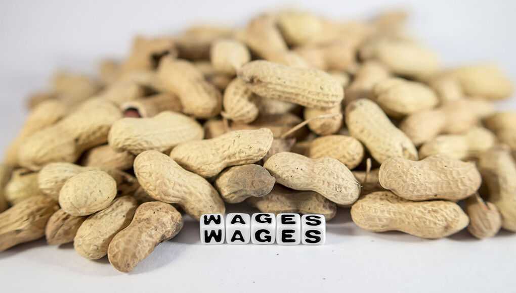 The Biggest Wage Theft Busts in Kissimmee This Year