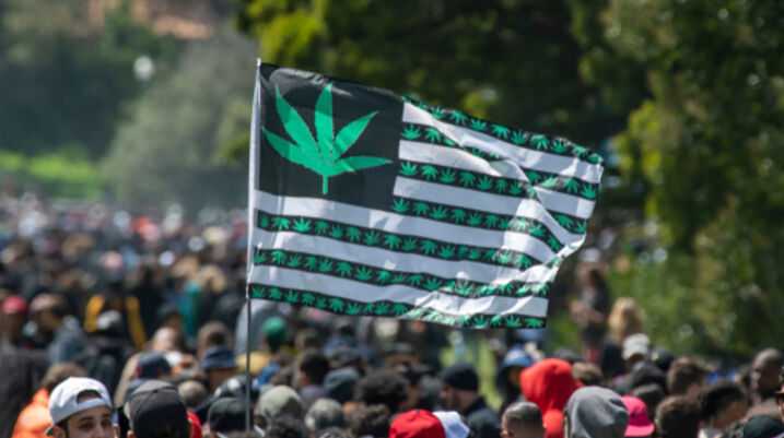 Latest Polls Show 82% Support Medical Marijuana in Florida - Pro Medical Marijuana Rally