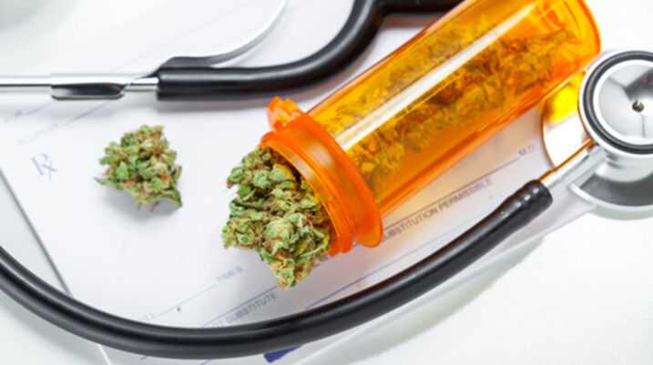 Florida Voters to Decide on Medical Marijuana in November - Medical Marijuana