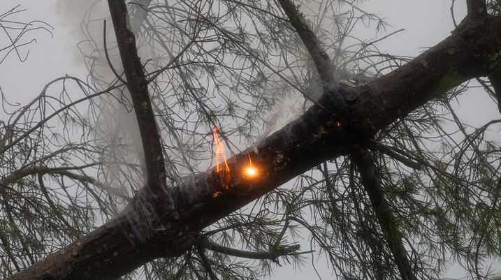 PG&E Power Lines Caused Four NorCal Wildfires, Investigators Determine