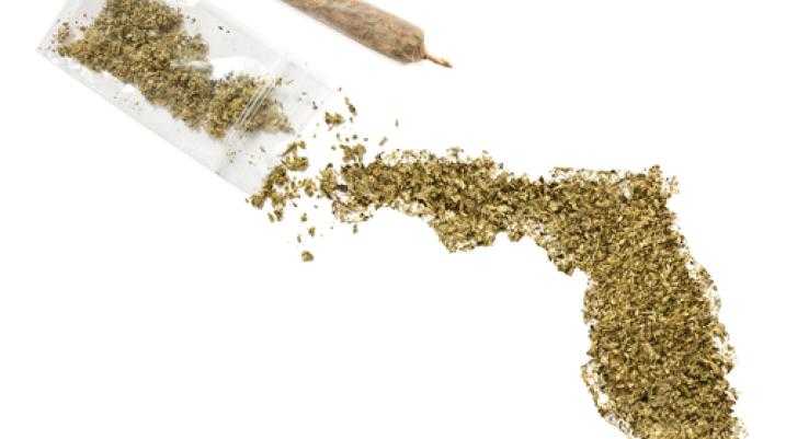 John Morgan: Medical Marijuana Amendment Will 'Overwhelmingly' Pass - Marijuana Shaped into State of Florida