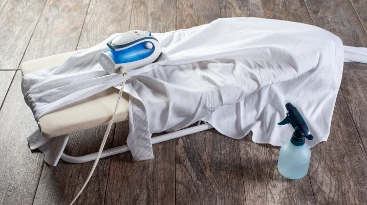 Travel iron