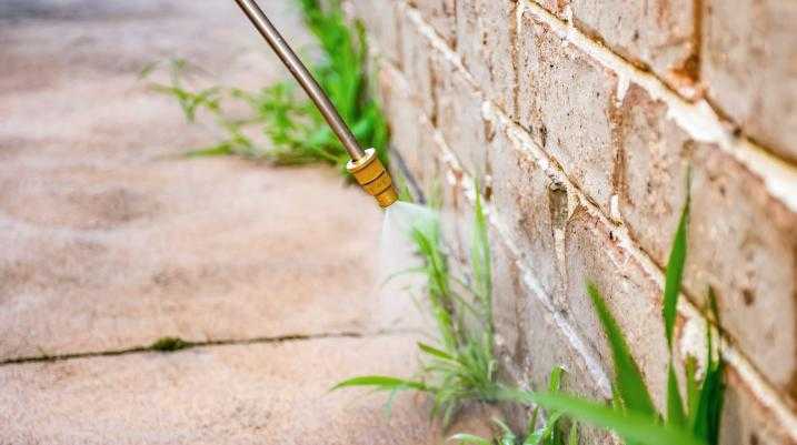 Weeds being sprayed with weed killer