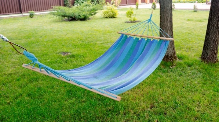 Hammock in a yard